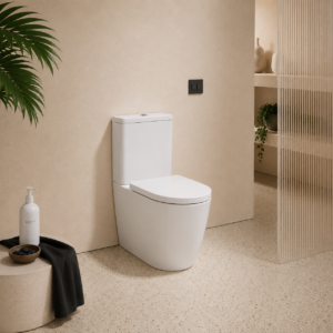wc toilet closed back soft close