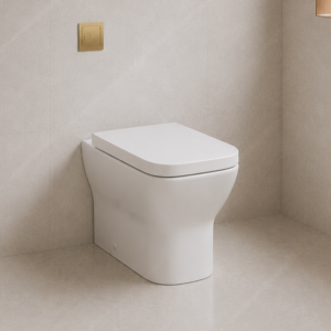 Port Back To Wall Rimless WC & Soft Close Seat