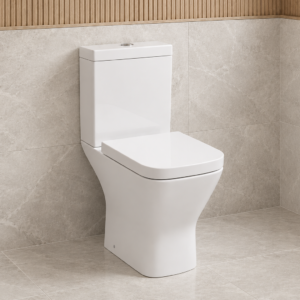 Port Coupled Rimless WC Pan & Soft Close Seat