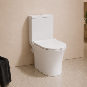 Dei Open Back Rimless WC & Soft Close Seat